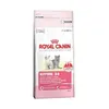 Feline Kitten 10 Kg Produktbild-Vorschau 8