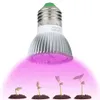 A grow light bulb illuminating four stages of plant growth from seedling to a small plant. Náhľad obrázku produktu