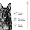 Royal Canin Maxi Adult 5+, Dospělý jedinec, Velký (26 až 44 Náhled obrázku produktu 2