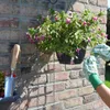 Esschert Design | Guanti da giardinaggio - Motivo a rose - Anteprima dell’immagine prodotto 6