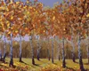 Zuty - Malen nach Zahlen - HERBSTBIRKEN, 40x50 cm, ohne Produktbild-Vorschau 1