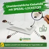 Green Guardia Teppichkäfer Falle mit Spezial-Lockstoff – Produktbild-Vorschau 4