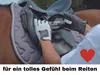 Reithandschuhe Leder Cool & Soft in Schwarz & 8.5 Produktbild-Vorschau 5