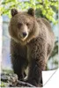 MuchoWow® Poster Bär - Braun - Wald 60x90 cm - Produktbild-Vorschau 1