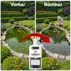 Teicher Algenvernichter – Gegen Schwebe- & Blaualgen im Produktbild-Vorschau 4