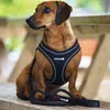 Beeztees Geschirr Premium Parinca Step-In schwarz Produktbild-Vorschau 3