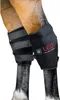 Horseware LED Red Light Therapy Hock Boot, Größe:Front Náhled obrázku produktu 13