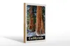 Holzschild Reise 20x30cm California Amerika Natur Wald Produktbild-Vorschau 1