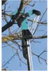 GARDENA combisystem-Bypass-Baumschere 00298-20 Produktbild-Vorschau 3
