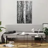 Bilder auf glas - Einteilig - Birken Wald Monochrom - Produktbild-Vorschau 6