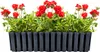 BOARDEE FENCYCASE Gartenbox - anthrazit DDEF600-S433 Produktbild-Vorschau 3