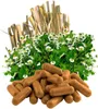 Mutterkraut + Weidenrinde 360 Pulver Kapseln [Migränekraut Produktbild-Vorschau 3