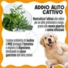 Polvere Dentale Naturale Cani/Gatti (100g) | Anti-Tartaro e Anteprima dell’immagine prodotto 5