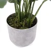 hjh OFFICE Kunstpflanze Spathiphyllum 1 Künstliche Pflanze Produktbild-Vorschau 2