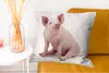 MuchoWow® Zierkissen Sofakissen Wohnzimmer Dekokissen 60x60 Produktbild-Vorschau 6