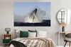 MuchoWow® Poster Wal - Wasser - Südafrika 180x120 cm - Produktbild-Vorschau 4
