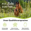 PHA Muskel&Leistung für Pferde 850 g Produktbild-Vorschau 6