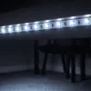 MasterLED LED Strip Kaltweiß 6500K 12V 5 m SMD 2835 300 LED Produktbild-Vorschau 2