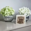 Kaffeetasse mit Kaffeebohnen - Kaffeekasse Spardose aus Produktbild-Vorschau 2