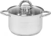 A stainless steel pot with a glass lid and handles, shown from the front on a white background. Produktbild-Vorschau