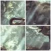 Bilder auf glas - Elefant Dschungel Stoßzahn - 95x80cm - Produktbild-Vorschau 8
