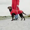 Hunter Hunde-Regenmantel Uppsala Rain, Größe:40, Farbe:rot Produktbild-Vorschau 8