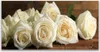 Tulup Leinwand-Bilder 140x70 Wandbild Canvas Kunstdruck Produktbild-Vorschau 1
