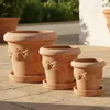 Teramico Terracotta Topf "Limoni" Frostfest optional mit Produktbild-Vorschau 5