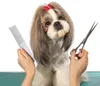 Hundekamm Haustierbürste, Edelstahl Unterfellbürste Produktbild-Vorschau 6