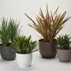 Blumentopf "Rio Greener" 35 cm taupe recyceltes Produktbild-Vorschau 3