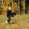 Cheval sur bâton - Hobby Horse Skippi - Gniady Voir les images du produit 3