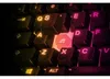 SteelSeries Steelseries APEX 3 TKL tastiera Gaming USB Anteprima dell’immagine prodotto 15