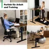 Collage of three scenes showing a height-adjustable desk in different use cases: working at a desk, standing at a desk with a treadmill, and sitting at a desk with an exercise ball. Náhled obrázku produktu