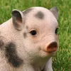 Dekofigur Gartenfigur Schwein / Ferkel Produktbild-Vorschau 3