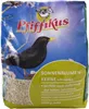 Pfiffikus Sonnenblumenkerne schalenlos 2,5 kg Produktbild-Vorschau 1