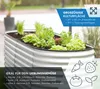 A raised garden bed filled with various plants, with marketing text and icons overlaid. Produktbild-Vorschau