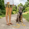 belviona Schleppleine für Hunde, Trainingsleine mit Produktbild-Vorschau 3