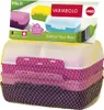 EMSA Variabolo lunch box con 2 divisori 4 pezzi Ragazze Anteprima dell’immagine prodotto 7