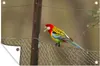 MuchoWow® Produktbild-Vorschau 1