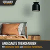 SEEBAUER diy Trendfarbe Hellgrün 2,5L (No. T10 Eukalyptus) Produktbild-Vorschau 3
