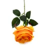künstliche Rose SIMONE gelb orange H. 45cm D. 7 cm Emerald Produktbild-Vorschau 3