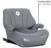 Lorelli, Kindersitzerhöhung Pyxis Isofix 125-150 cm Produktbild-Vorschau 24