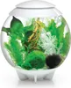 Aquarium décoratif 30l blanc - Oase - HALO 30 MCR WHITE - Voir les images du produit 6
