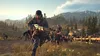 Days Gone (PS4) [English Version] Produktbild-Vorschau 4