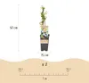 Green boutiQ - Fruchtpflanze - Vaccinium corymbosum Produktbild-Vorschau 3