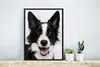 MuchoWow® MuchoWow® Gerahmtes Poster Border Collie schaut Produktbild-Vorschau 4