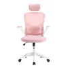 Ergonomická kancelářská židle s bederní opěrkou a opěrkou Náhled obrázku produktu 3
