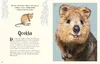 Wundervolle Welt der Tiere Produktbild-Vorschau 6