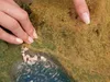 NOCH Laub-Foliage, mit Modellbau Laub, mittelgrün 20 x 23 Produktbild-Vorschau 4