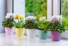 KADAX Matte Blumentopf "Agen", Pflanzkübel mit Untersetzer, Produktbild-Vorschau 9